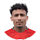 الدقين
